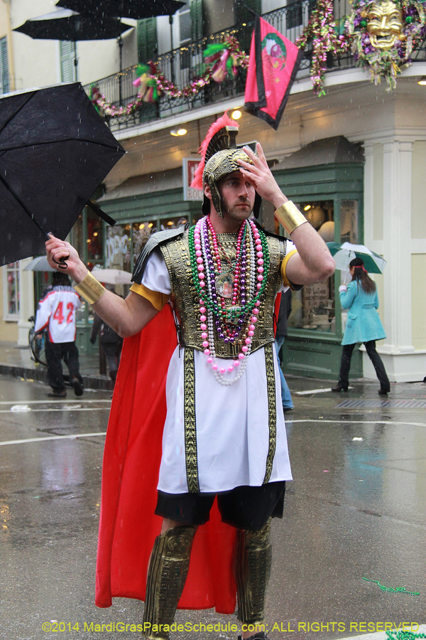 2014-Mardi-Gras-Day-11435