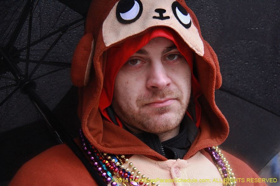 2014-Mardi-Gras-Day-11436
