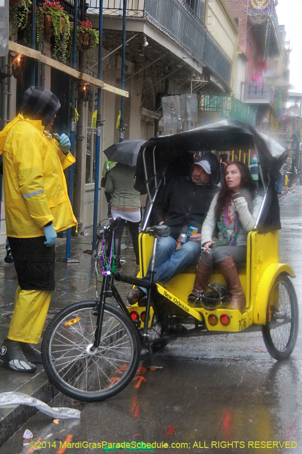 2014-Mardi-Gras-Day-11437