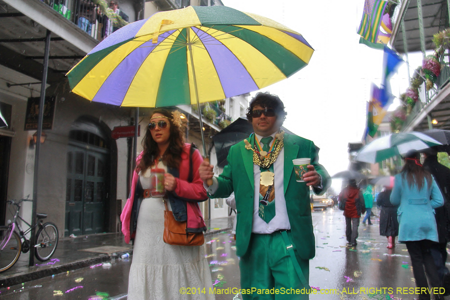 2014-Mardi-Gras-Day-11444