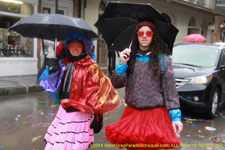 2014-Mardi-Gras-Day-11445