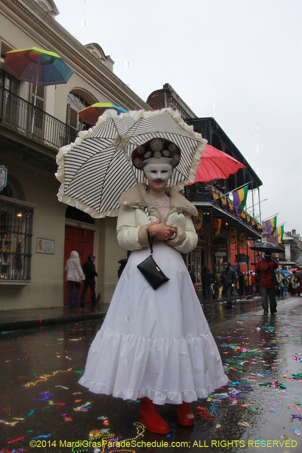 2014-Mardi-Gras-Day-11446