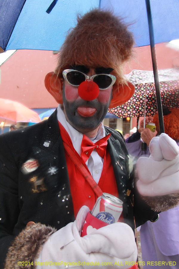2014-Mardi-Gras-Day-11448