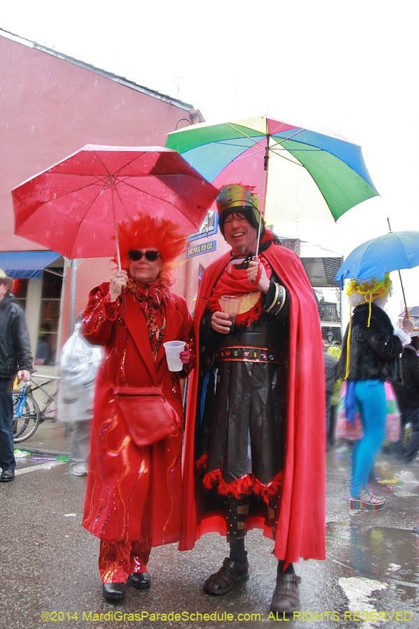 2014-Mardi-Gras-Day-11449