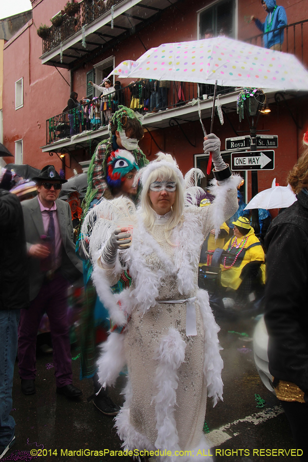 2014-Mardi-Gras-Day-11451