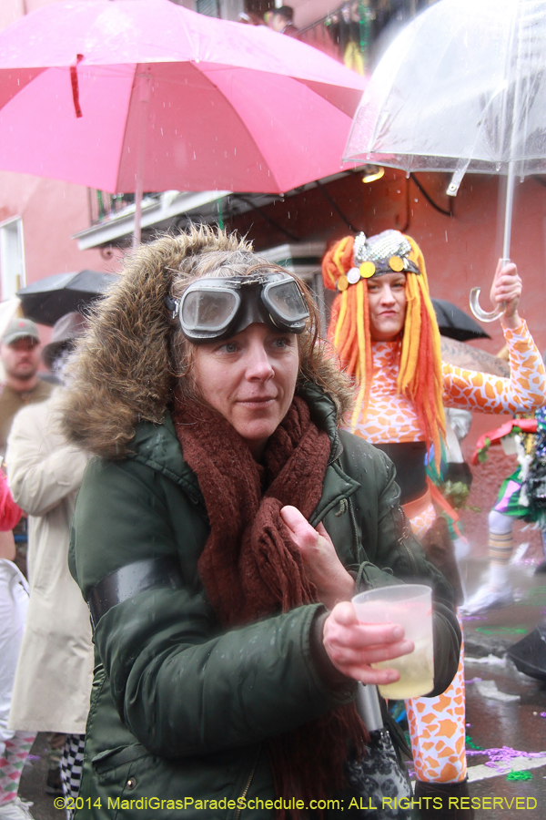 2014-Mardi-Gras-Day-11454