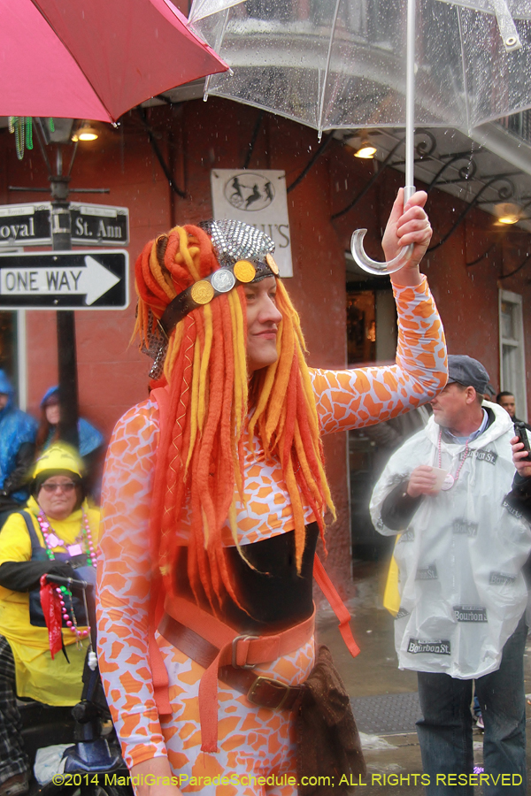 2014-Mardi-Gras-Day-11455