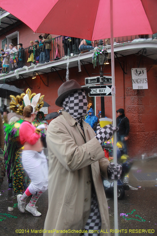 2014-Mardi-Gras-Day-11456