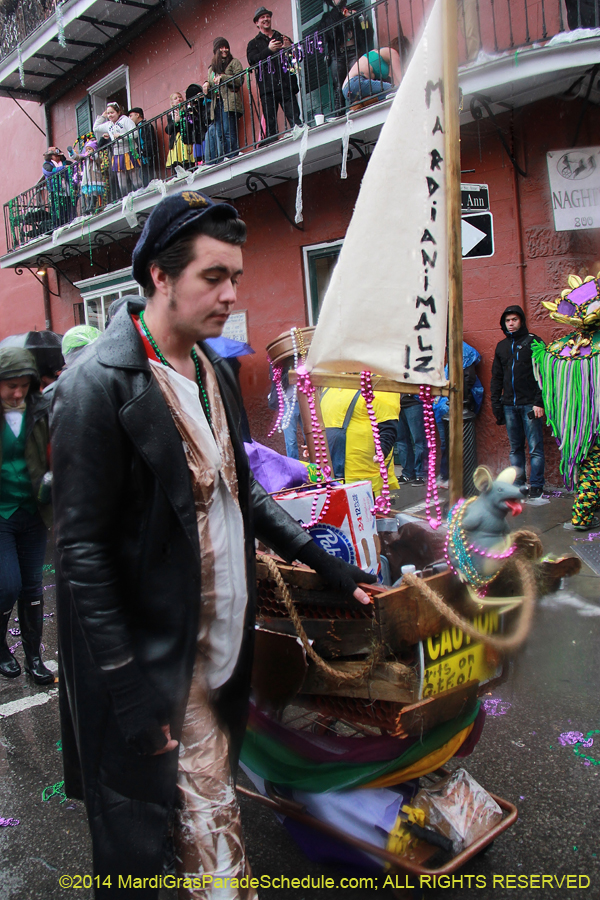 2014-Mardi-Gras-Day-11457
