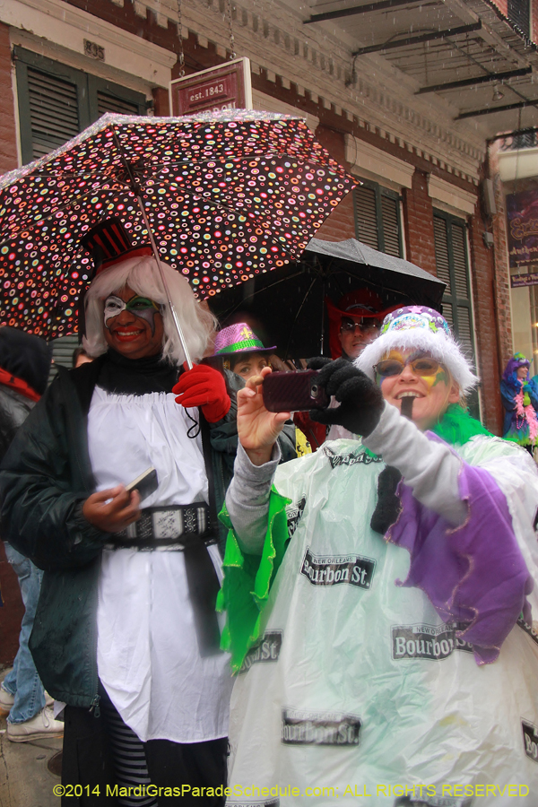 2014-Mardi-Gras-Day-11460