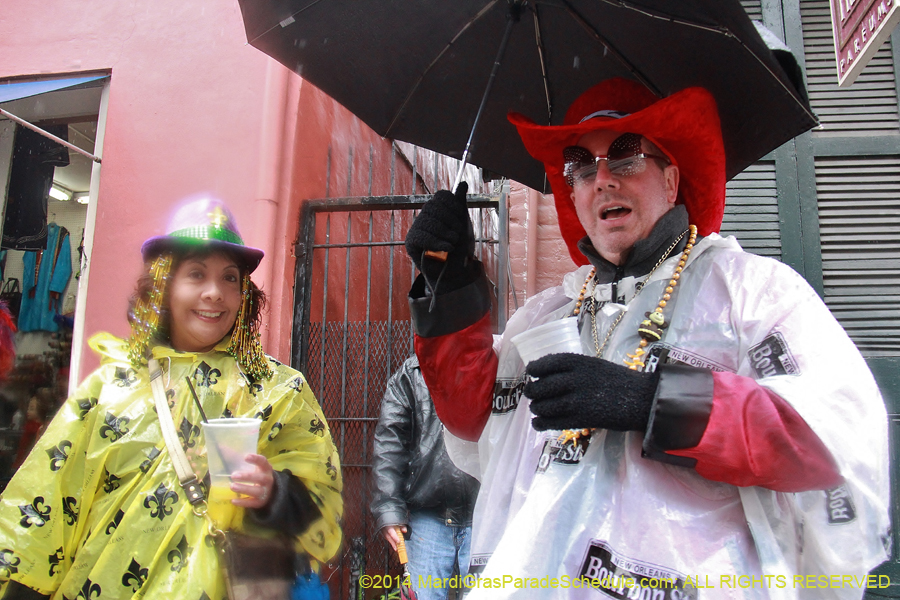 2014-Mardi-Gras-Day-11461