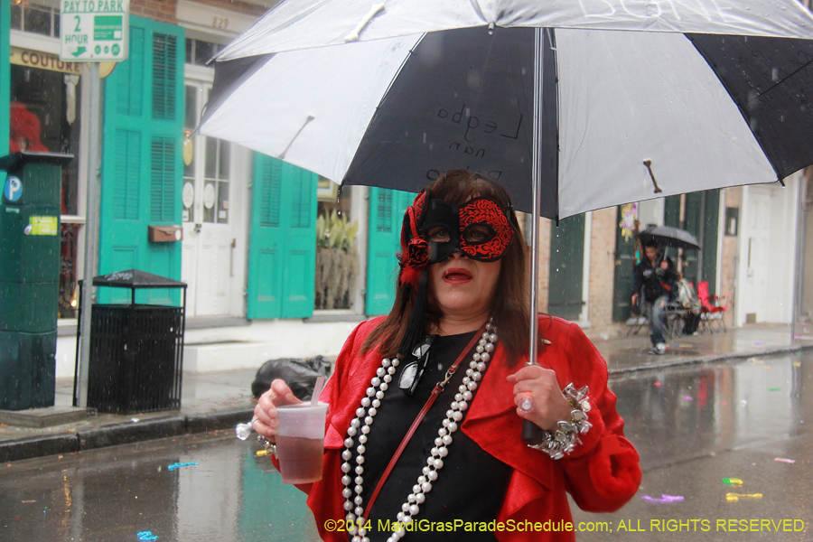 2014-Mardi-Gras-Day-11468