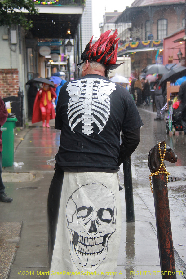 2014-Mardi-Gras-Day-11469