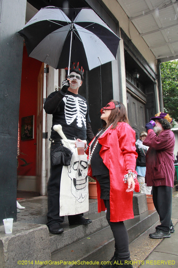 2014-Mardi-Gras-Day-11481