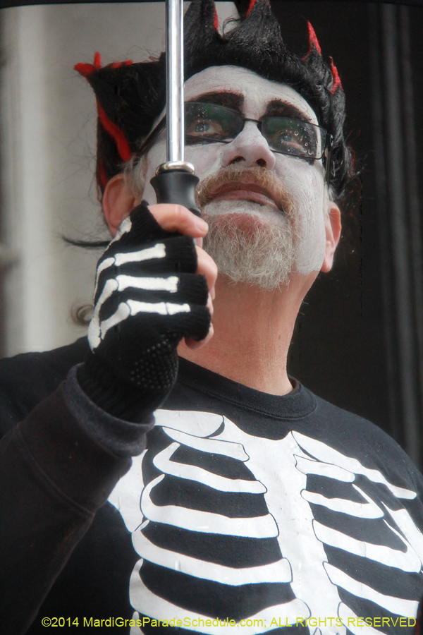 2014-Mardi-Gras-Day-11482