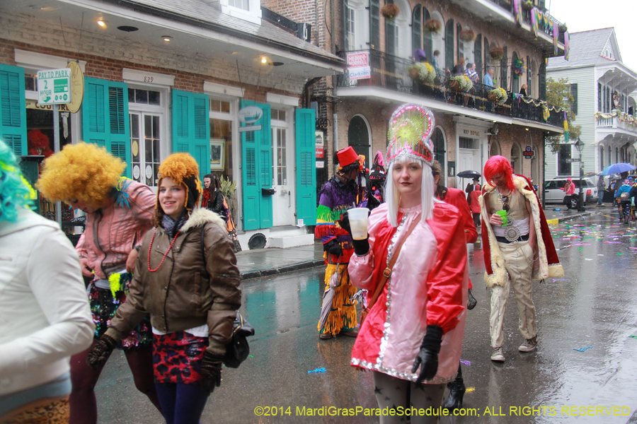 2014-Mardi-Gras-Day-11489