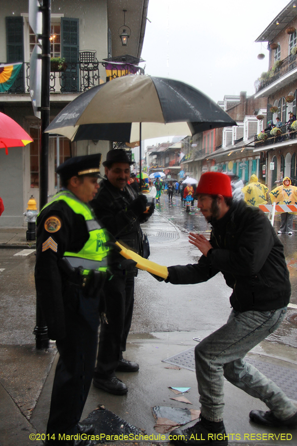 2014-Mardi-Gras-Day-11492