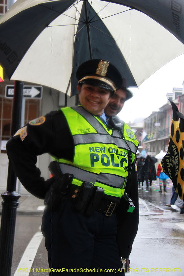 2014-Mardi-Gras-Day-11493