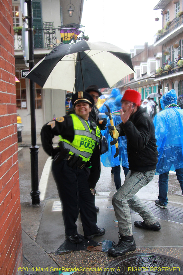 2014-Mardi-Gras-Day-11495