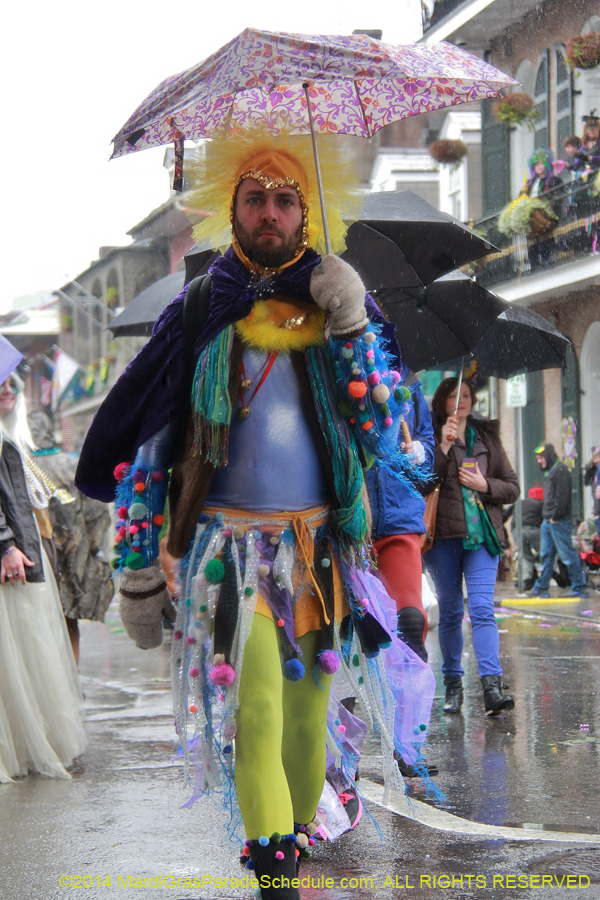 2014-Mardi-Gras-Day-11498