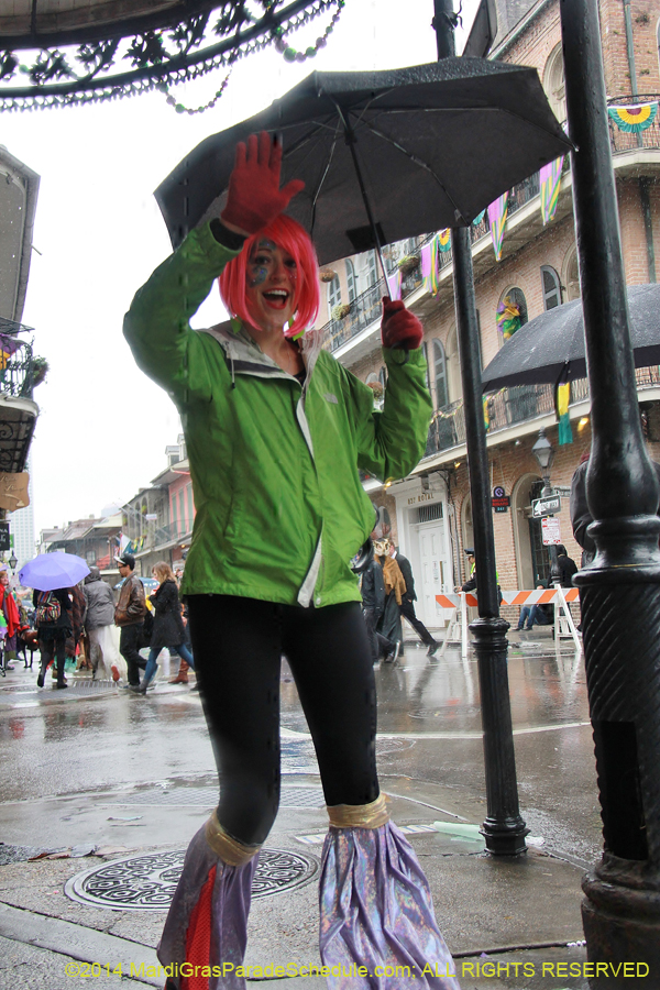 2014-Mardi-Gras-Day-11500