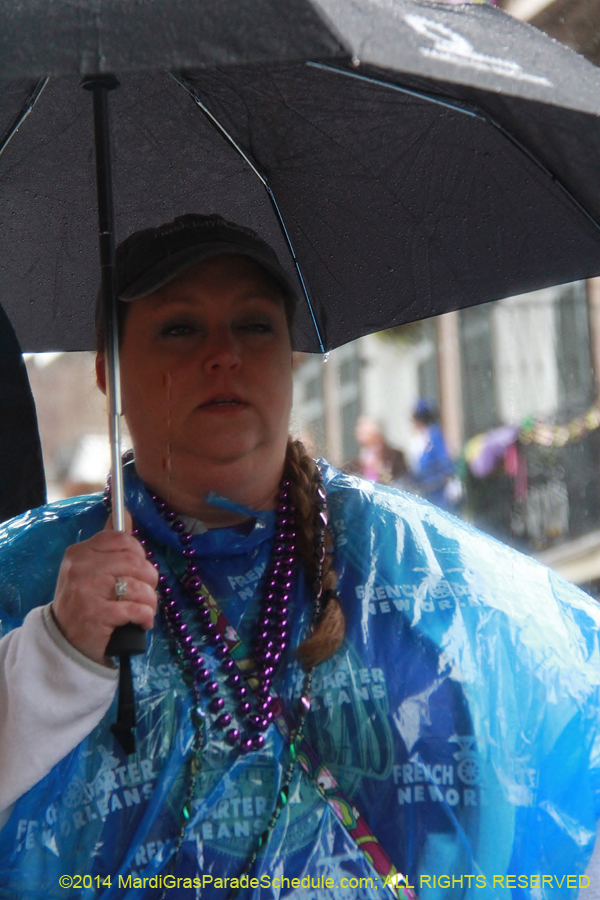 2014-Mardi-Gras-Day-11507