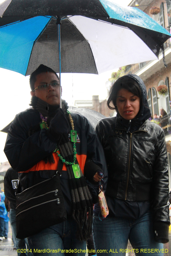 2014-Mardi-Gras-Day-11508