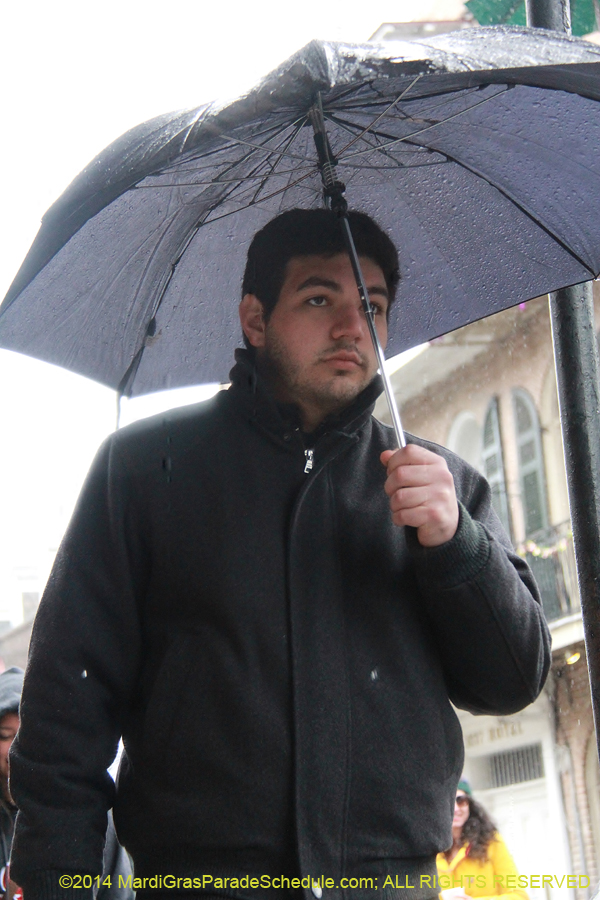 2014-Mardi-Gras-Day-11509