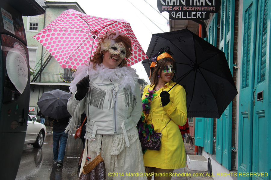 2014-Mardi-Gras-Day-11528