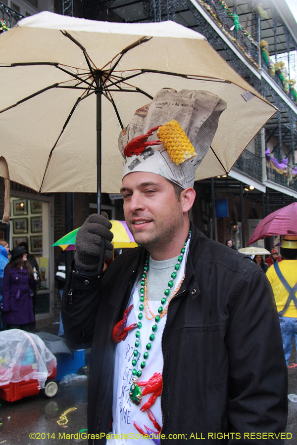 2014-Mardi-Gras-Day-11535