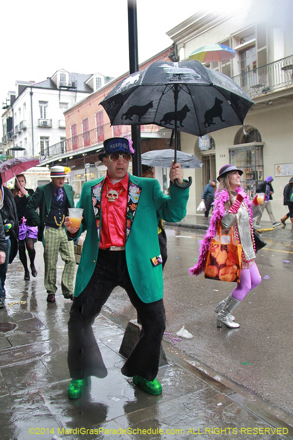 2014-Mardi-Gras-Day-11541