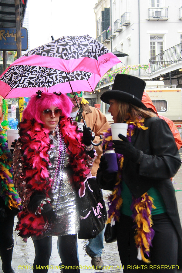 2014-Mardi-Gras-Day-11542