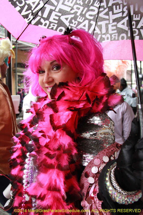 2014-Mardi-Gras-Day-11544