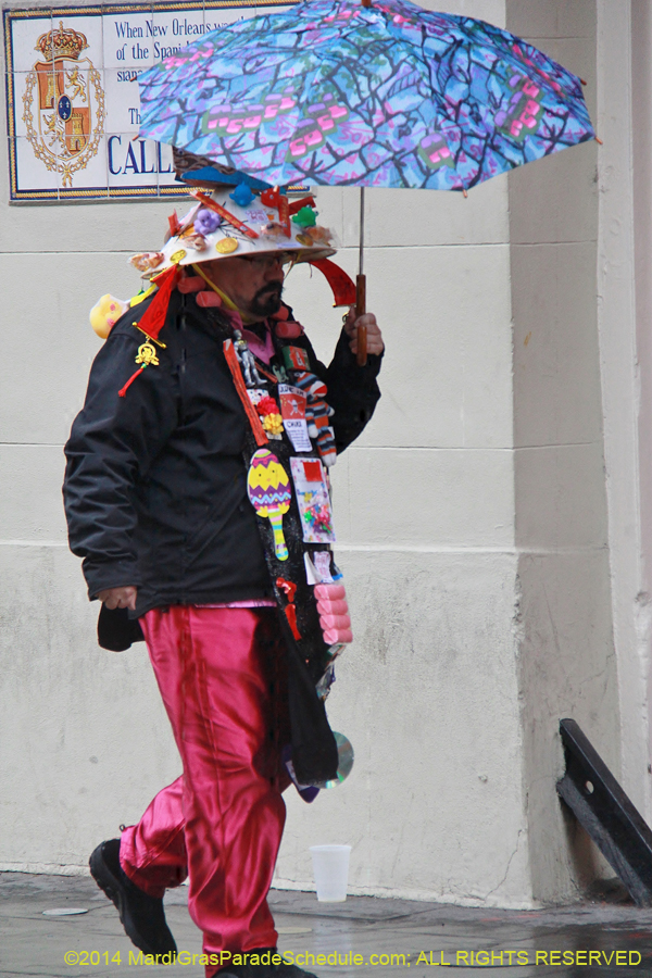 2014-Mardi-Gras-Day-11547