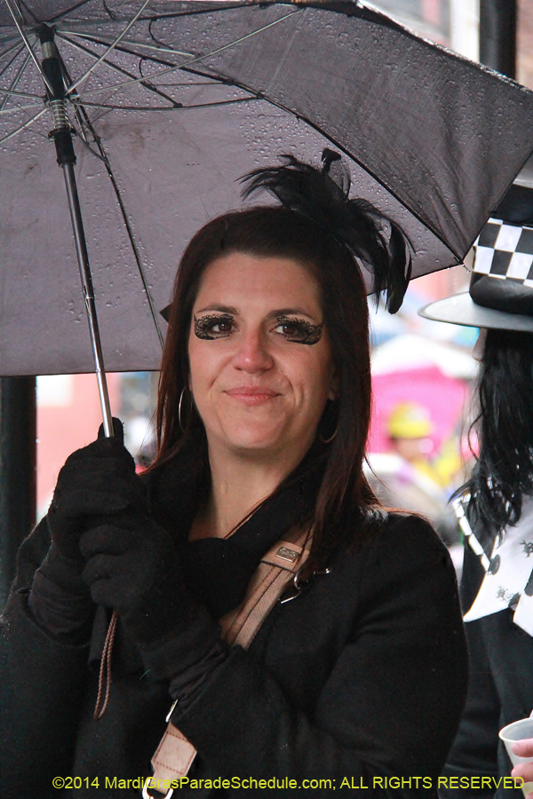 2014-Mardi-Gras-Day-11549