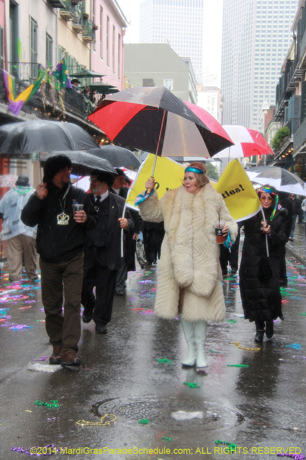 2014-Mardi-Gras-Day-11555