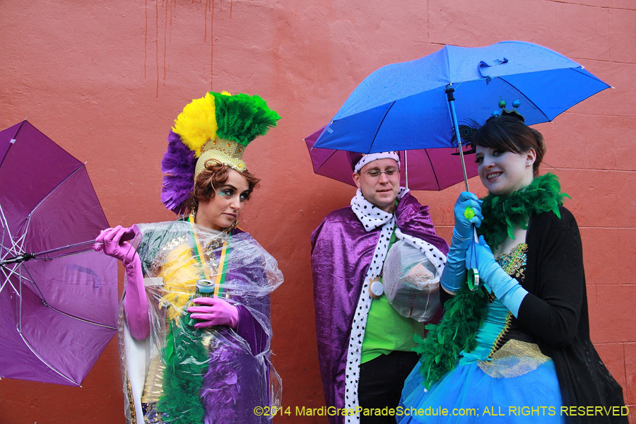 2014-Mardi-Gras-Day-11560