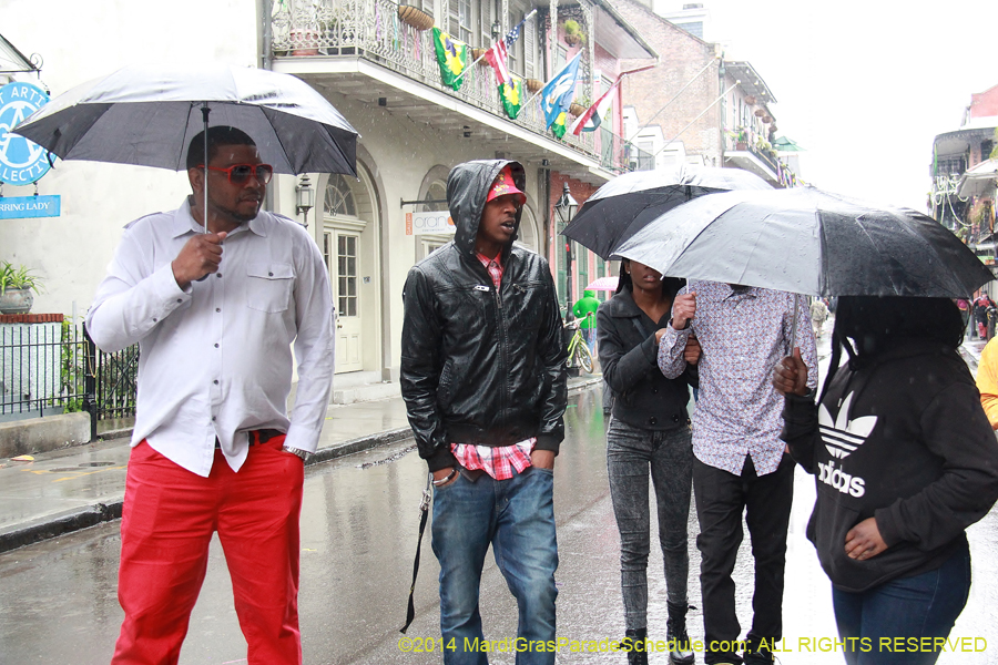 2014-Mardi-Gras-Day-11564