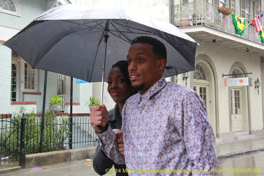 2014-Mardi-Gras-Day-11565