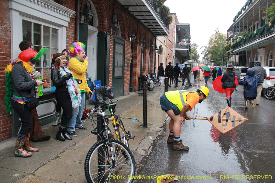 2014-Mardi-Gras-Day-11602