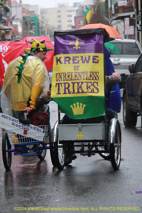 2014-Mardi-Gras-Day-11604