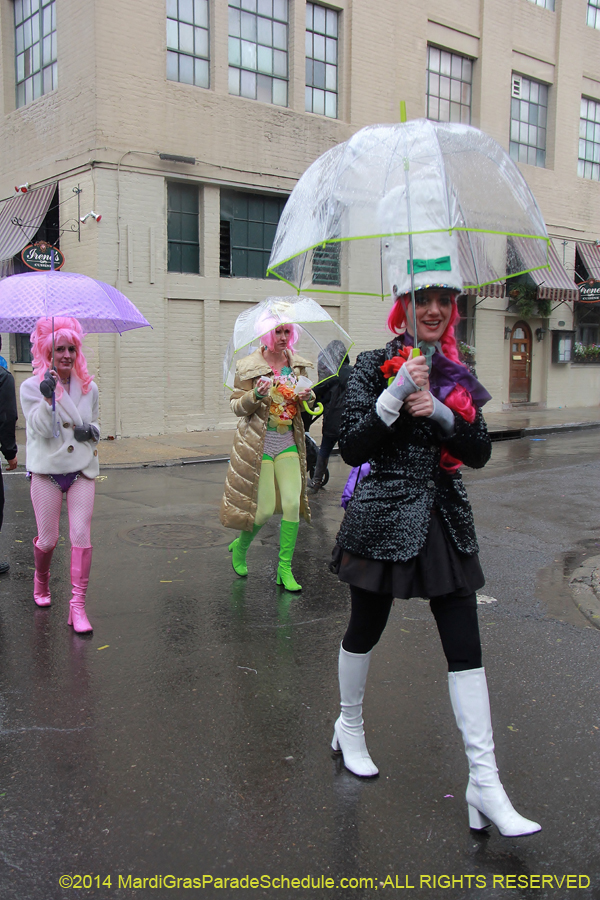 2014-Mardi-Gras-Day-11606