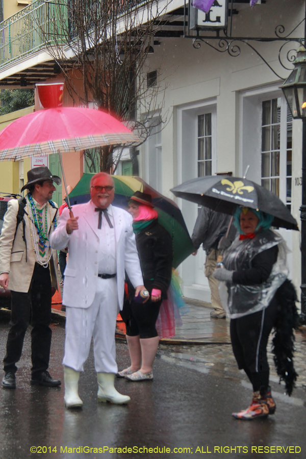 2014-Mardi-Gras-Day-11608