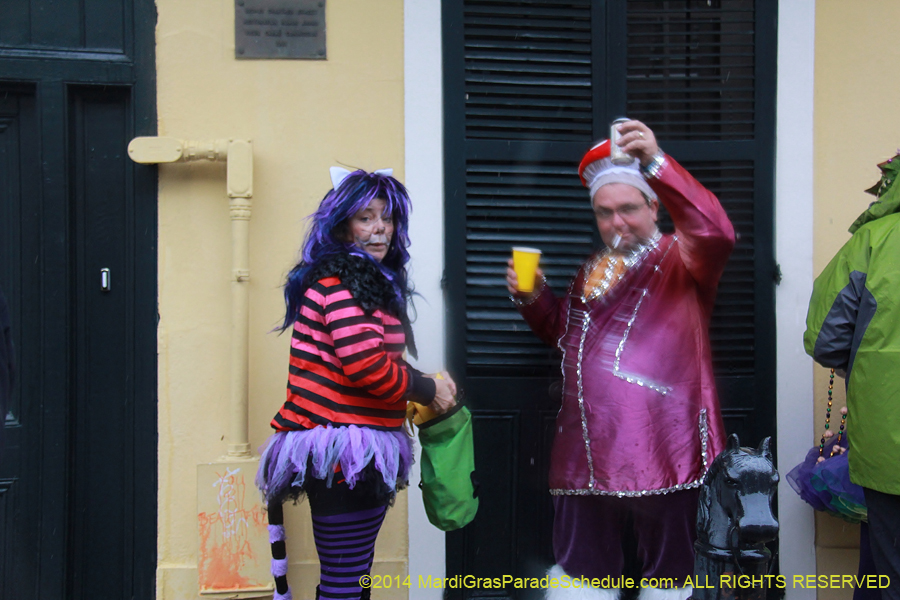 2014-Mardi-Gras-Day-11610
