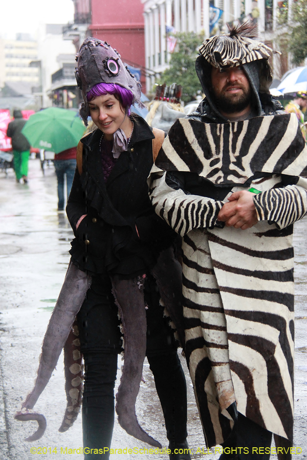 2014-Mardi-Gras-Day-11612