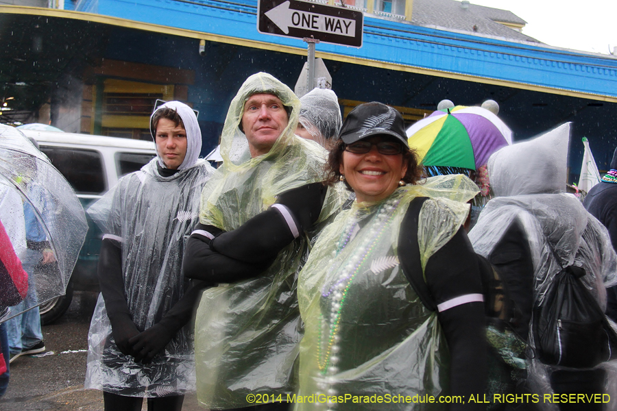2014-Mardi-Gras-Day-11614