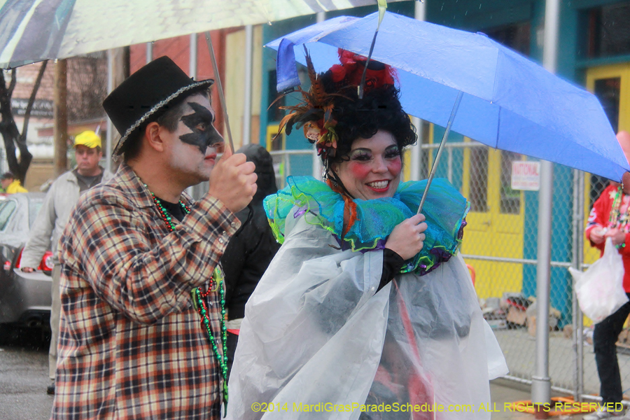 2014-Mardi-Gras-Day-11624