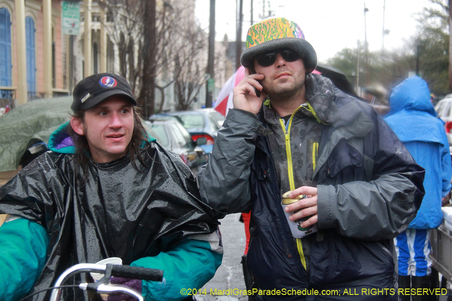 2014-Mardi-Gras-Day-11626