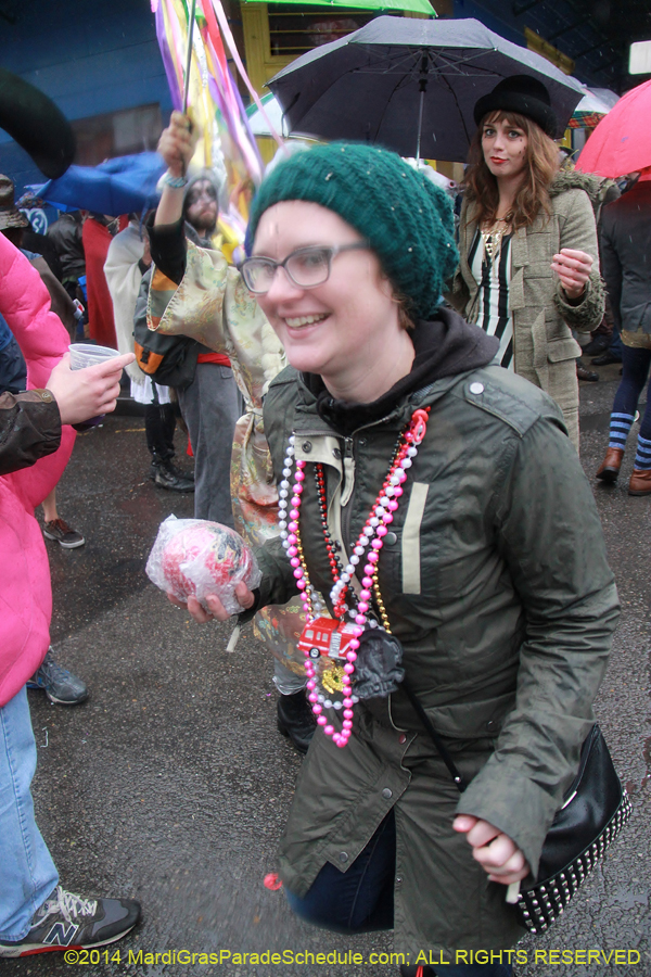 2014-Mardi-Gras-Day-11627