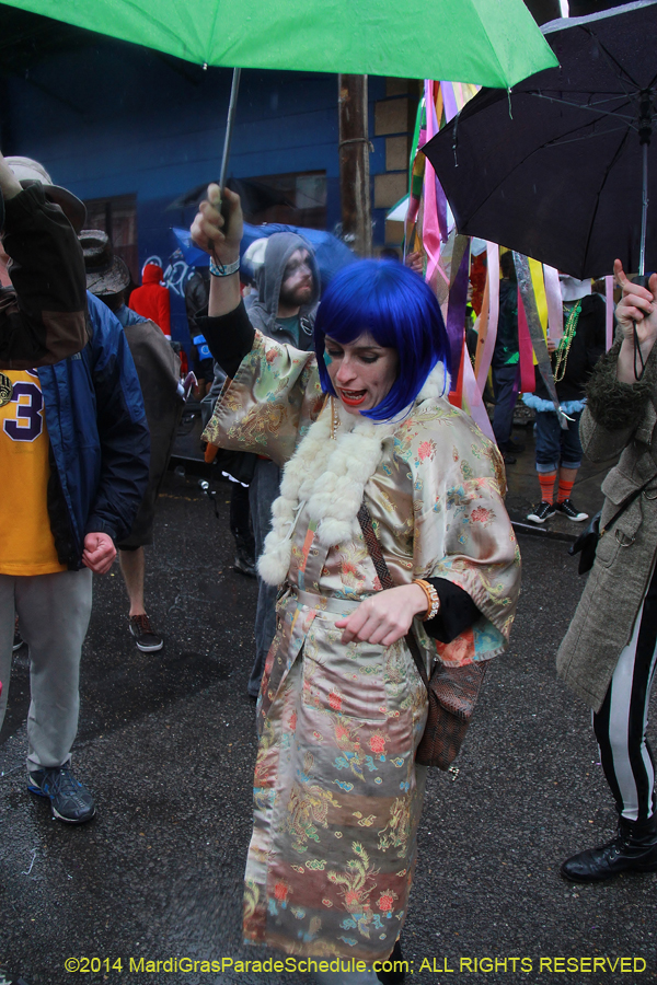 2014-Mardi-Gras-Day-11628